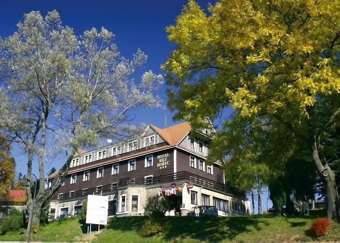 Spa Hotel Bily Horec